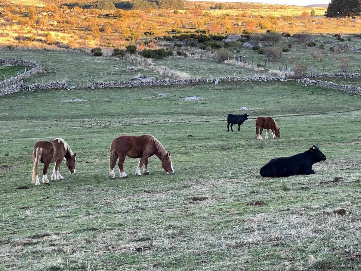 나바레돈다 데 그레도스 La Nava De Gredos Acogedor Piso Con Vistas 아파트 외부 사진